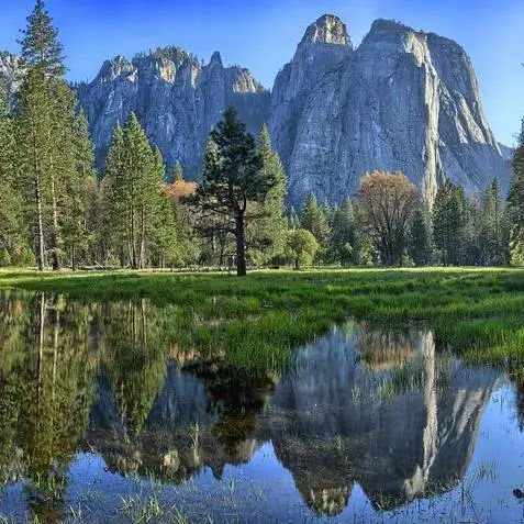 Yosemite National Park