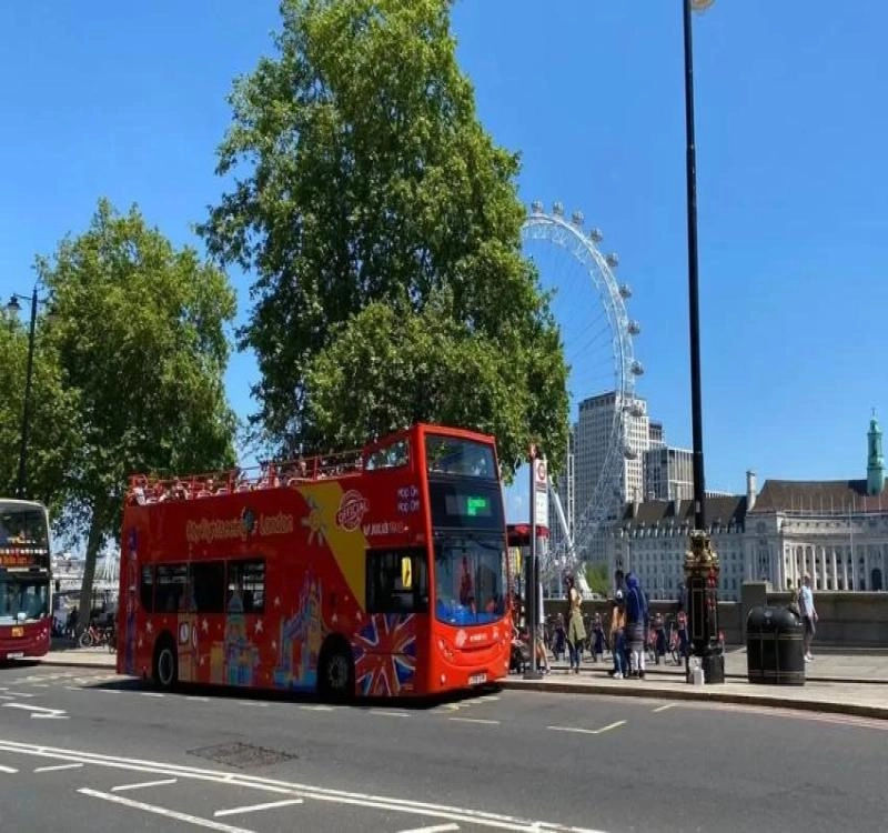 Best London Bus Tours For Education 2024