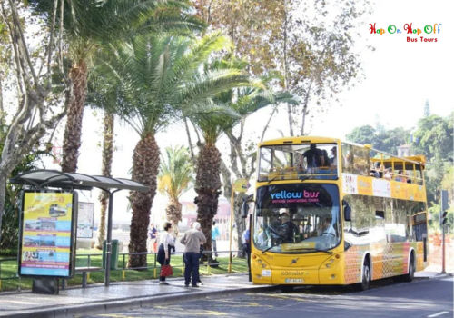 Ultimate Funchal Bus Tour Guide: Everything First-Time Visitors Need to Know