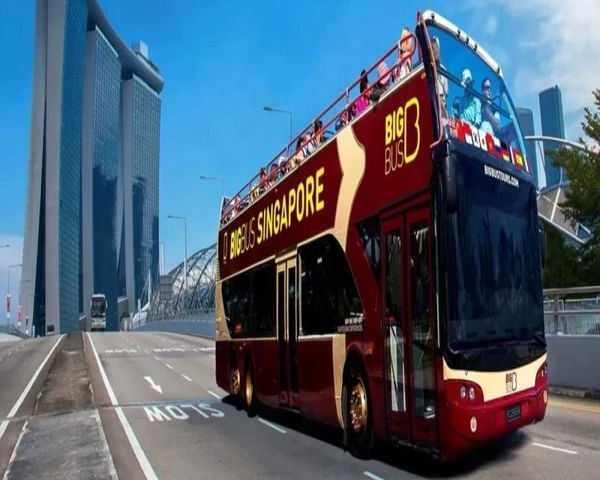 City Guide for Singapore: Important Things To Know