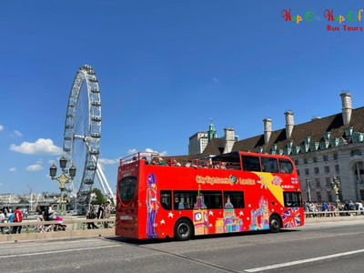 Benefits of Hop On Hop Off Bus Tours for Tourists