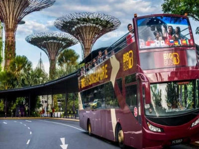 Experiencing Singapore on an Hop on Hop Off Bus On A Solo Trip