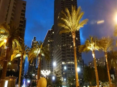 The Best Time to Visit San Francisco – Month On Month Guide