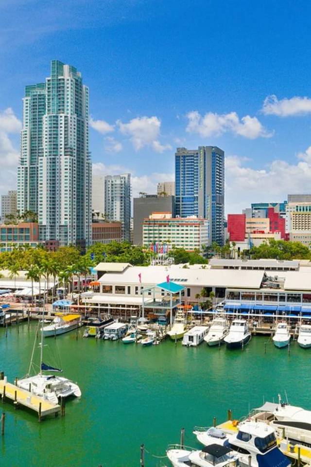 Miami Hop On Hop Off Bus Tour