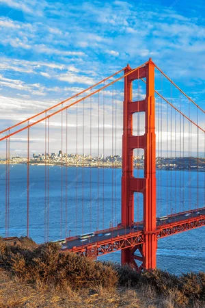 San Francisco Hop On Hop Off Bus Tour