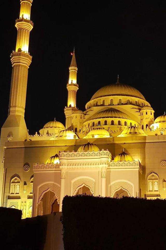 Sharjah Hop On Hop Off Bus Tour