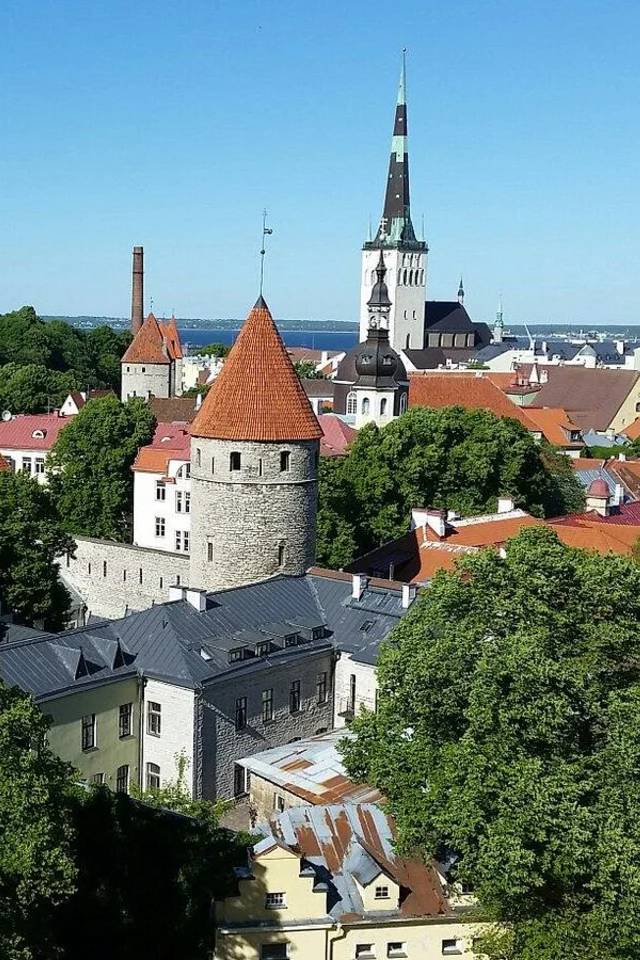 Tallinn Hop On Hop Off Bus Tour