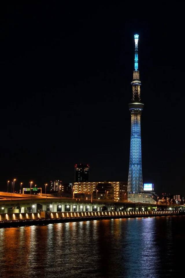 Tokyo Hop On Hop Off Bus Tour