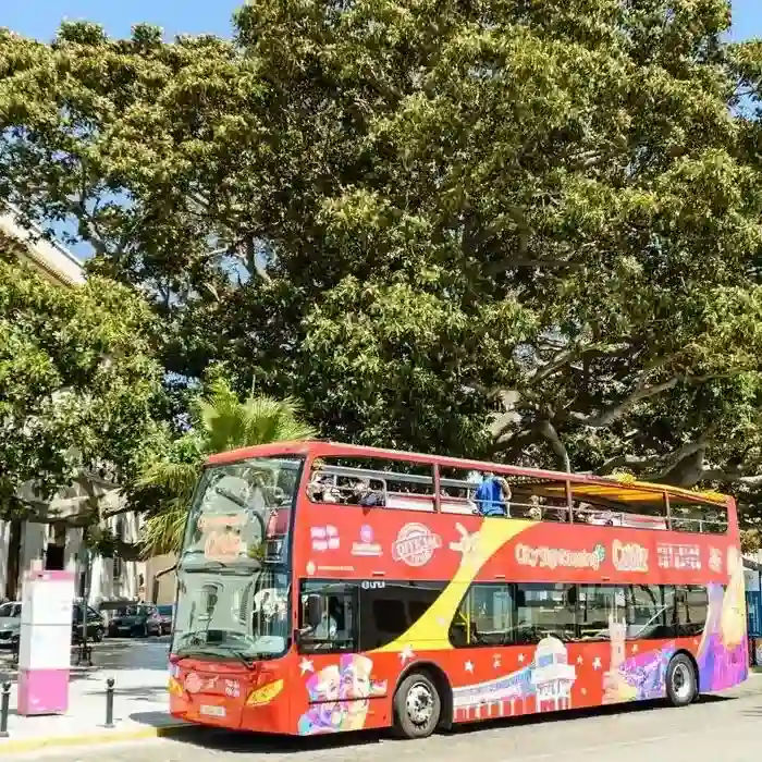 City Sightseeing: Cadiz Hop-On, Hop-Off, Cathedral and Tower Experience