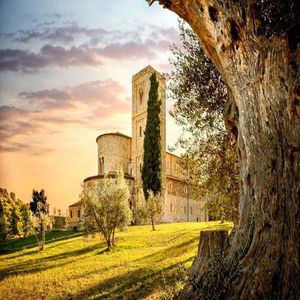 Val d'Orcia Original Pienza and Montepulciano Wine Tour