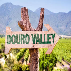 Full Day Historical Tour to the Douro Valley
