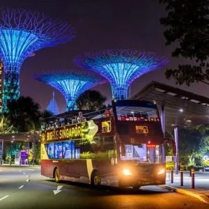 Big Bus Singapore Night Tour with Live Guide