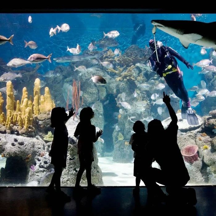 Temaiken Biopark Entrance with Transfers from Buenos Aires