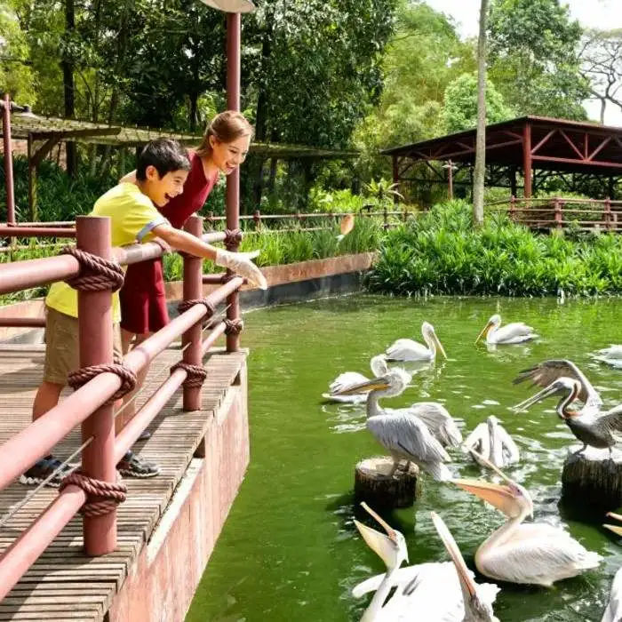 Singapore Zoo with Tram Ride – Ticket Only 
