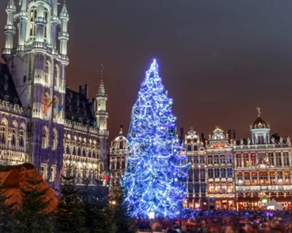 TootBus: Brussels Christmas Lights Tour