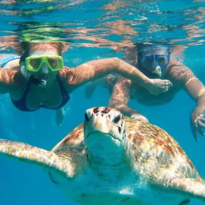 Musandam Sea Safari from Fujairah