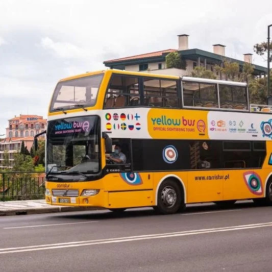 Yellow Bus: Funchal Bus Tour with Whale & Dolphin Watching by Boat