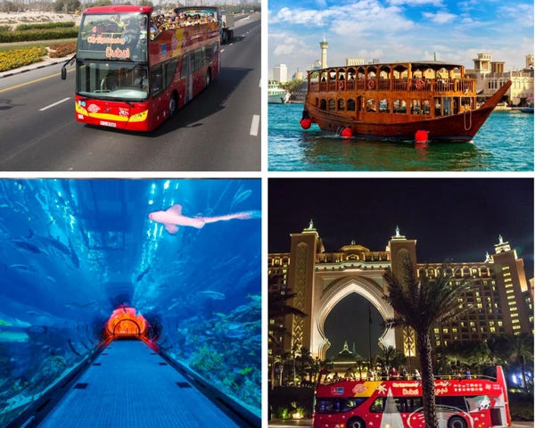 City Sightseeing: Dubai Premium Pass