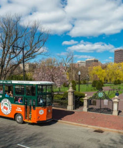 Boston: Old Town Trolley Hop-On, Hop-Off Tour