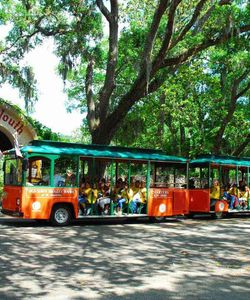 St. Augustine: Old Town Trolley Hop-On, Hop-Off Tour
