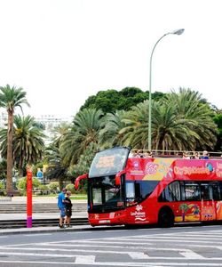 City Sightseeing: Las Palmas de Gran Canaria Experience Pass (Essential)