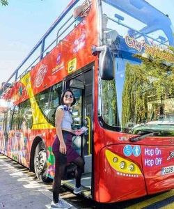 City Sightseeing: Palma de Mallorca Bus with Bellver Castle (Essential)