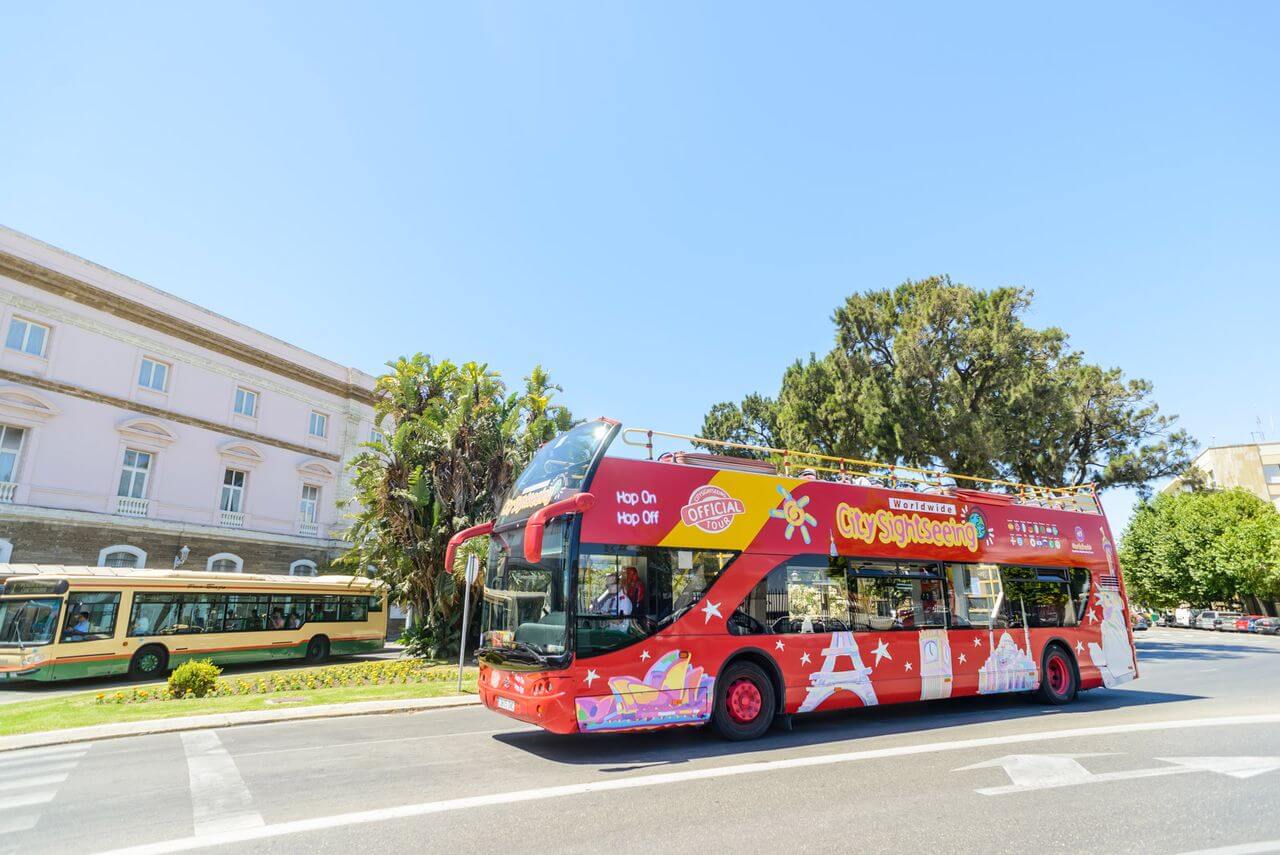 City Sightseeing: Cadiz Hop-On, Hop-Off, Cathedral and Tower Experience