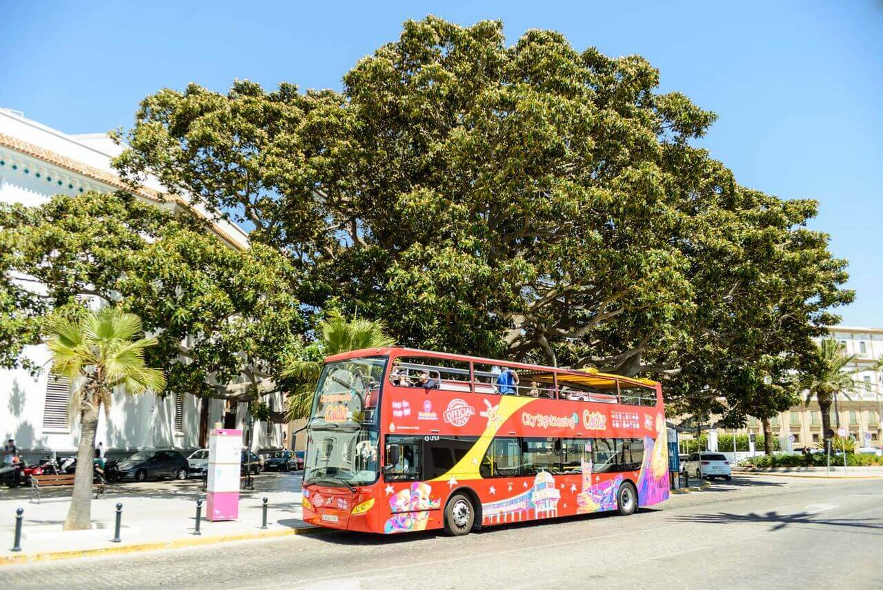 Cadiz Hop-On, Hop-Off Bus Tour