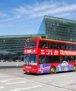 City Sightseeing: Reykjavik Hop-On, Hop-Off with Wonders of Iceland
