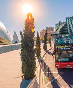 Valencia Bus Turistic: Hop-On, Hop-Off Bus and San Nicolas