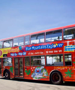 Blue Mountains Explorer Bus: Hop-On, Hop-Off Ticket