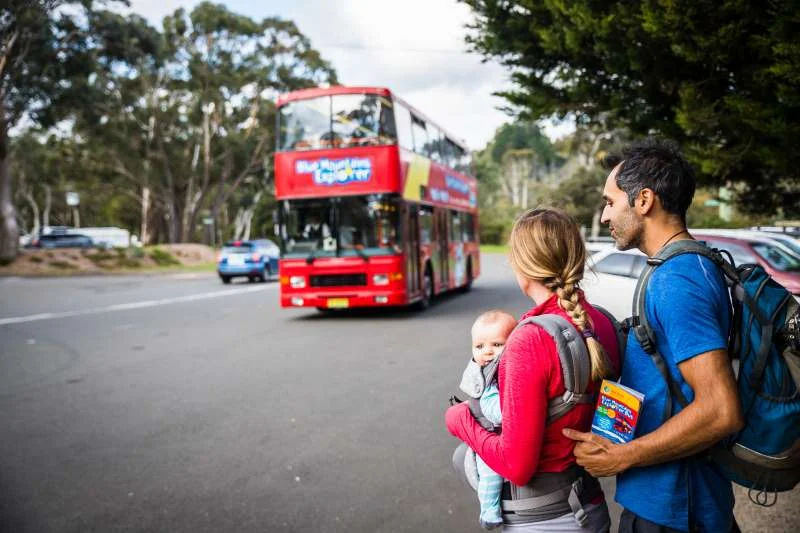 Blue Mountains Hop-on Hop-off Explorer Bus