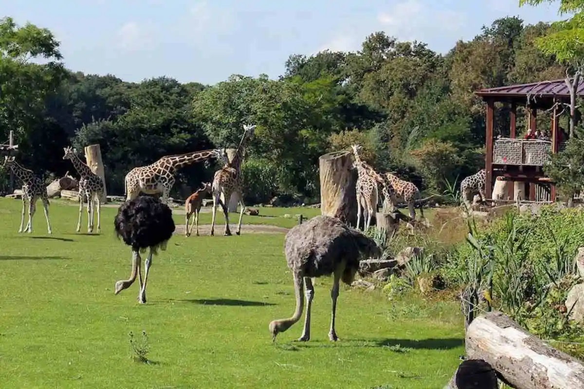 Leipzig Zoo: Skip The Line Ticket