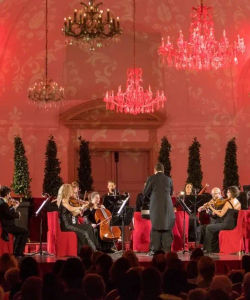 Schönbrunn Palace Concert Ticket