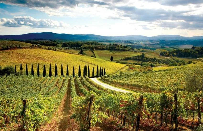 My Tours Italy - Siena, San Gimignano and Pisa with lunch