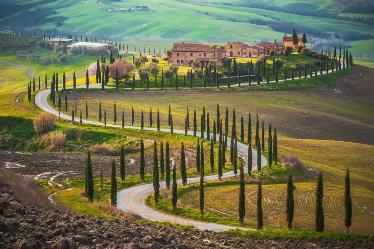 My Tours Italy - Val d'Orcia Original wine tour