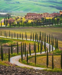 Val d'Orcia Original Pienza and Montepulciano Wine Tour