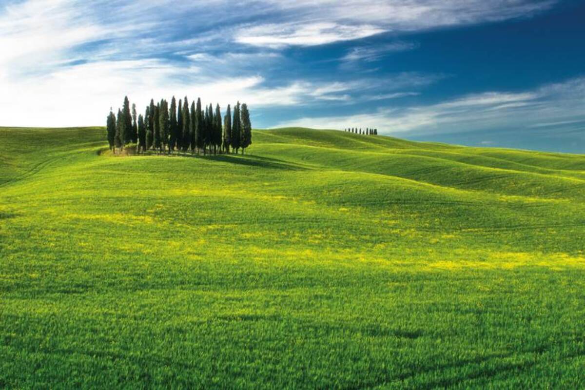 My Tours Italy - Val d'Orcia Original wine tour