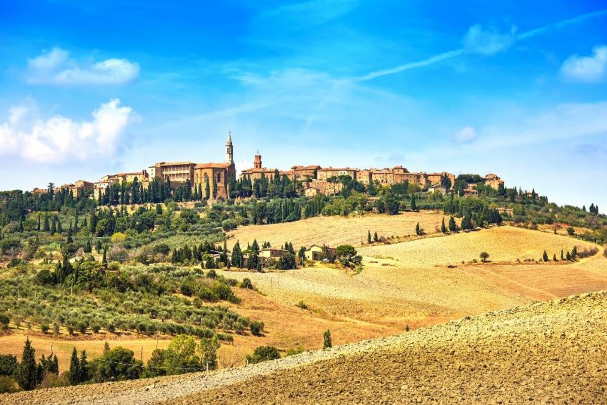 My Tours Italy - Val d'Orcia Original wine tour