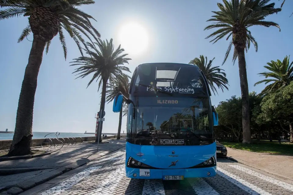 Gray Line: Porto Hop-On, Hop-Off Bus Tour - 3 Lines 