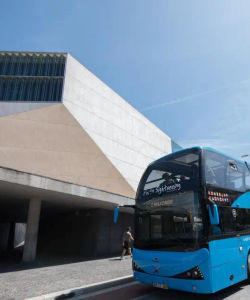 Gray Line: Porto Hop-On, Hop-Off Bus Tour - 3 Lines 
