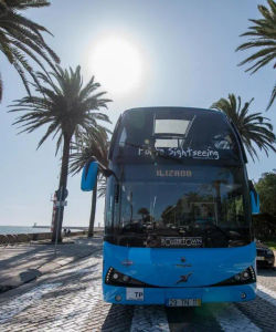 Gray Line: Porto Hop-On, Hop-Off 3 Lines with River Cruise
