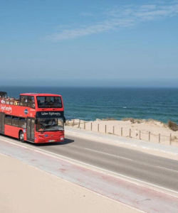 Gray Line: Lisbon Hop-On, Hop-Off Bus Tour | 3 Lines