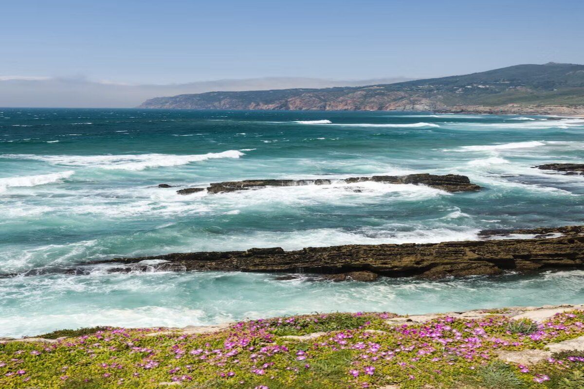 Gray Line: National Sintra Palace, Cascais & Estoril