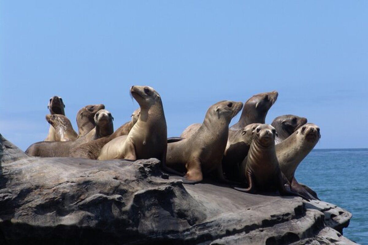 SEAL Tours at Seaport Village