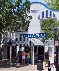 Key West Aquarium