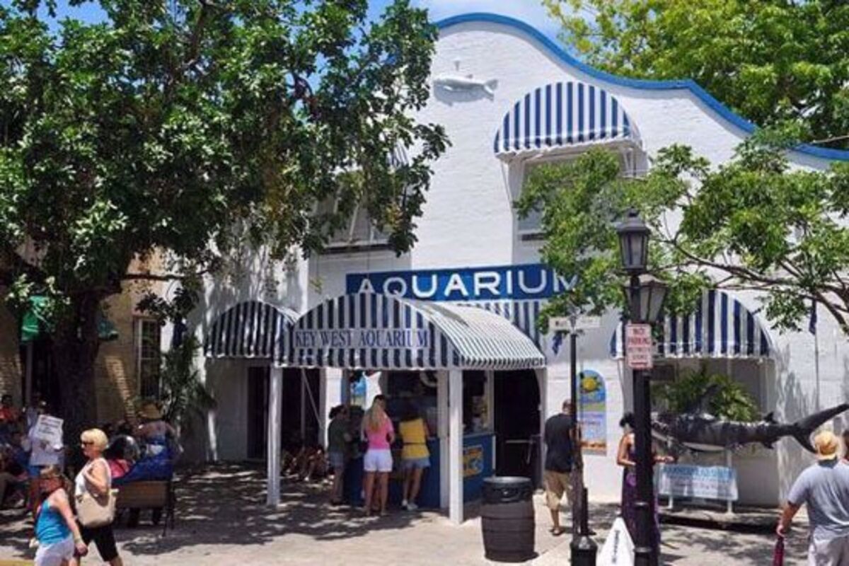 Key West Aquarium Entrance Ticket