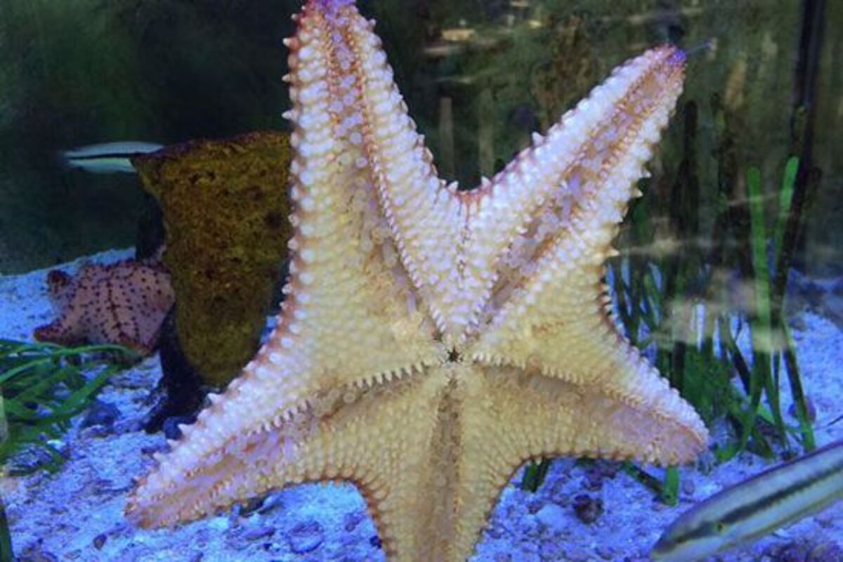 Key West Aquarium