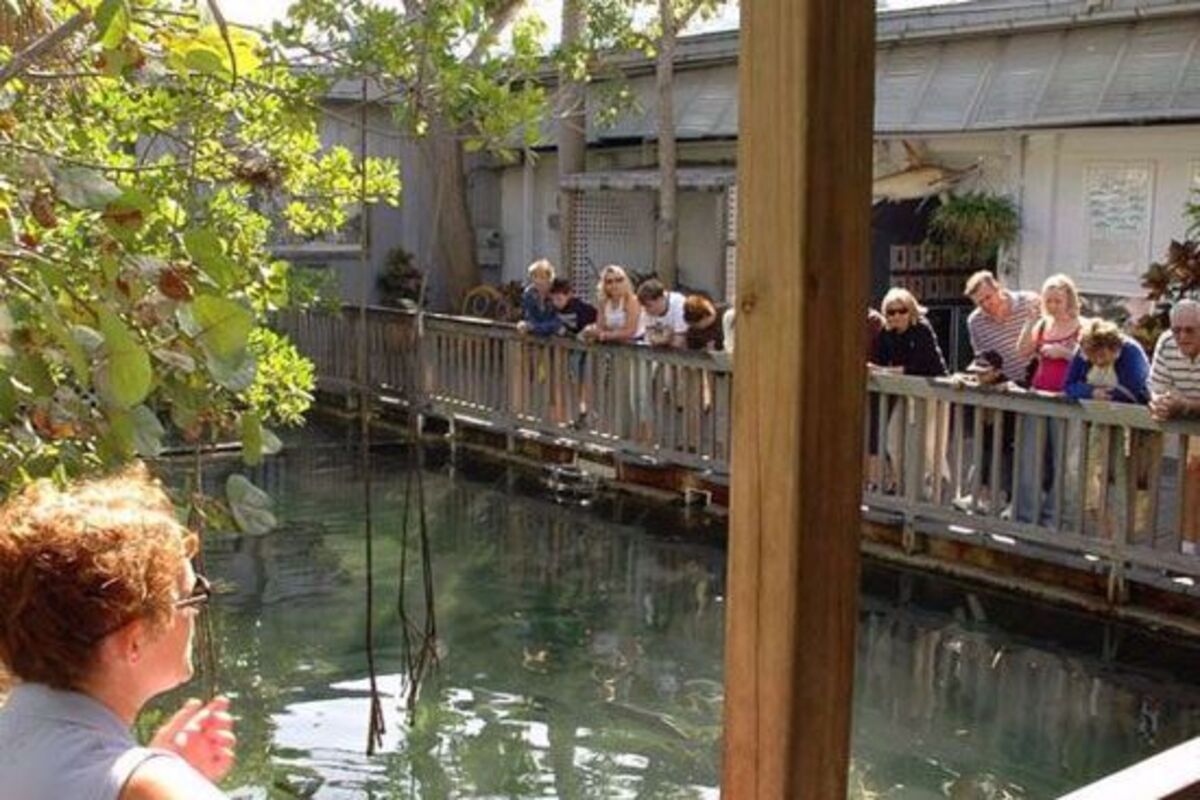 Key West Aquarium