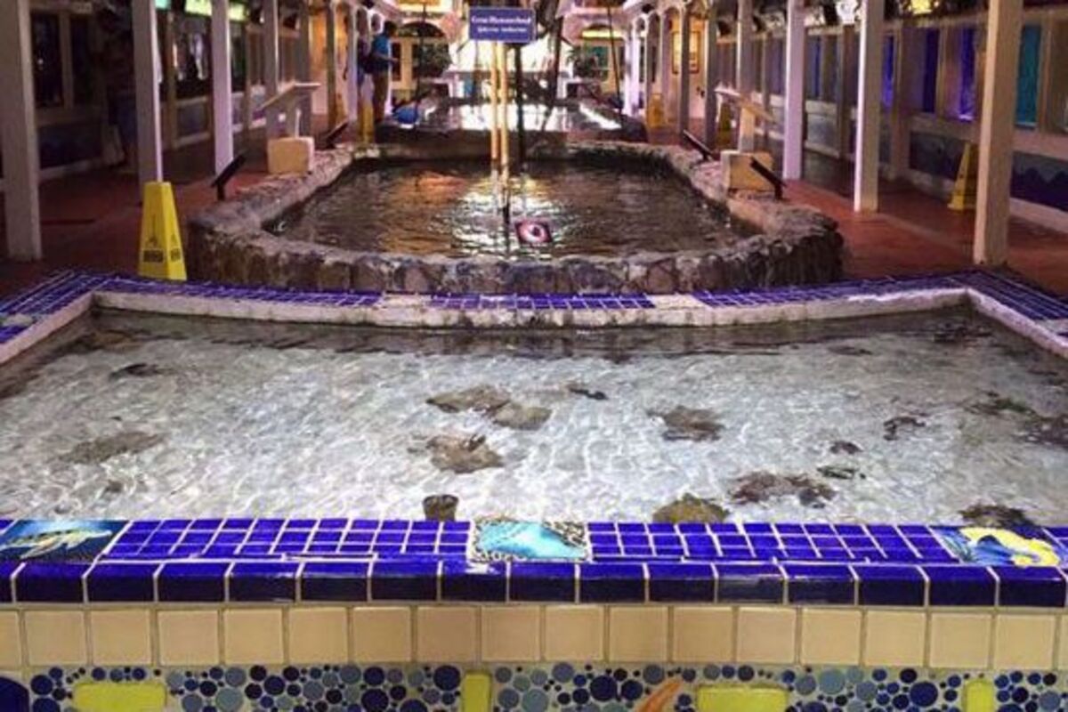 Key West Aquarium